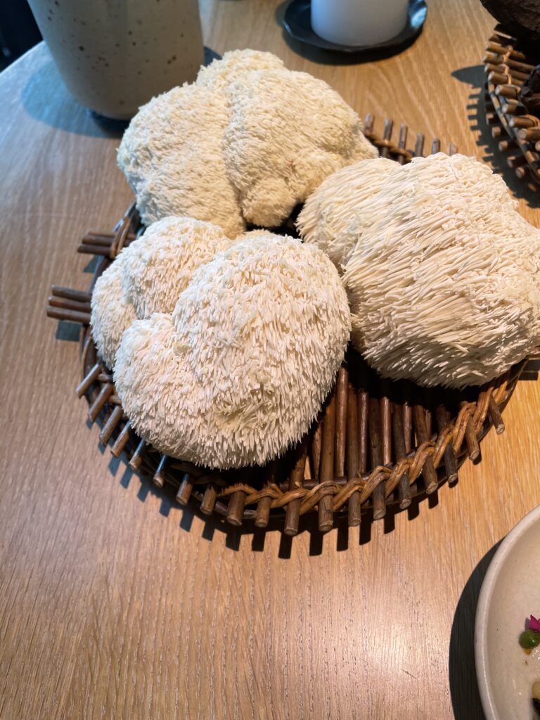 Lion’s mane mushroom roasted with wild roses at NOMA