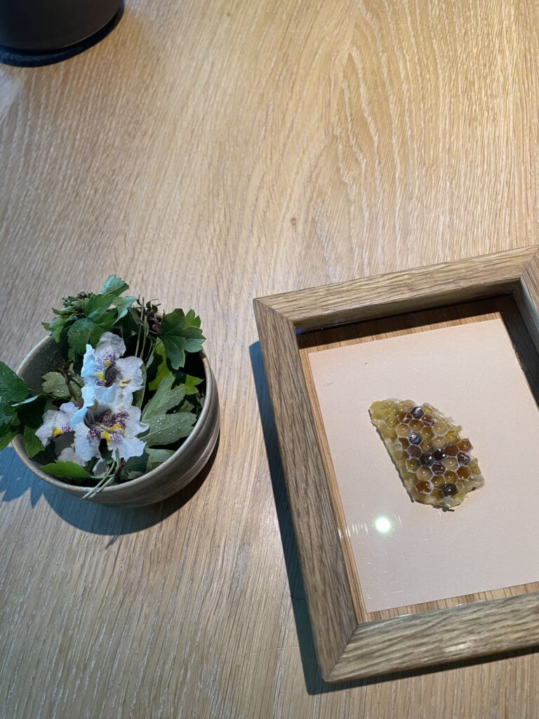Marinated honeycomb at NOMA